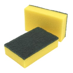 Sponge Scourers